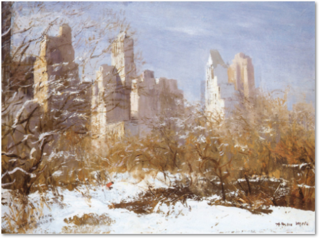 New York - Central Park sotto la neve